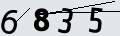 verifycode
